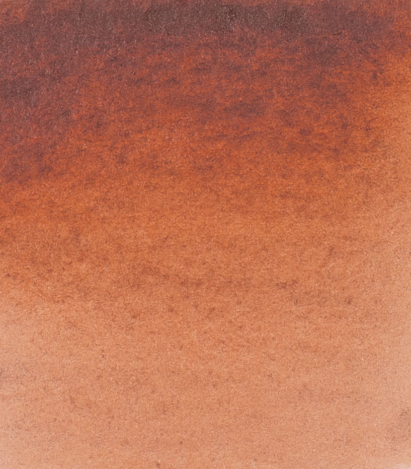 maroon brown